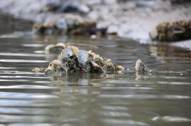 "This is an area where we can make big strides."