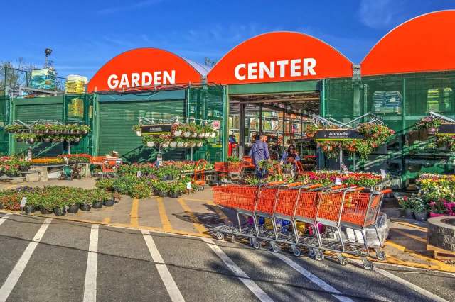One Redditor stumbled upon a concerning sales display of painted succulent plants at Home Depot.