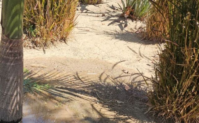 Commenters were quick to sound the alarm.