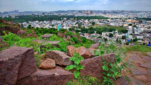 Officials in Hyderabad, India, have caught the culprits responsible for a trafficking operation involving pangolin scales.