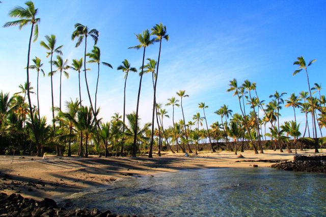 "Future generations can continue to benefit."