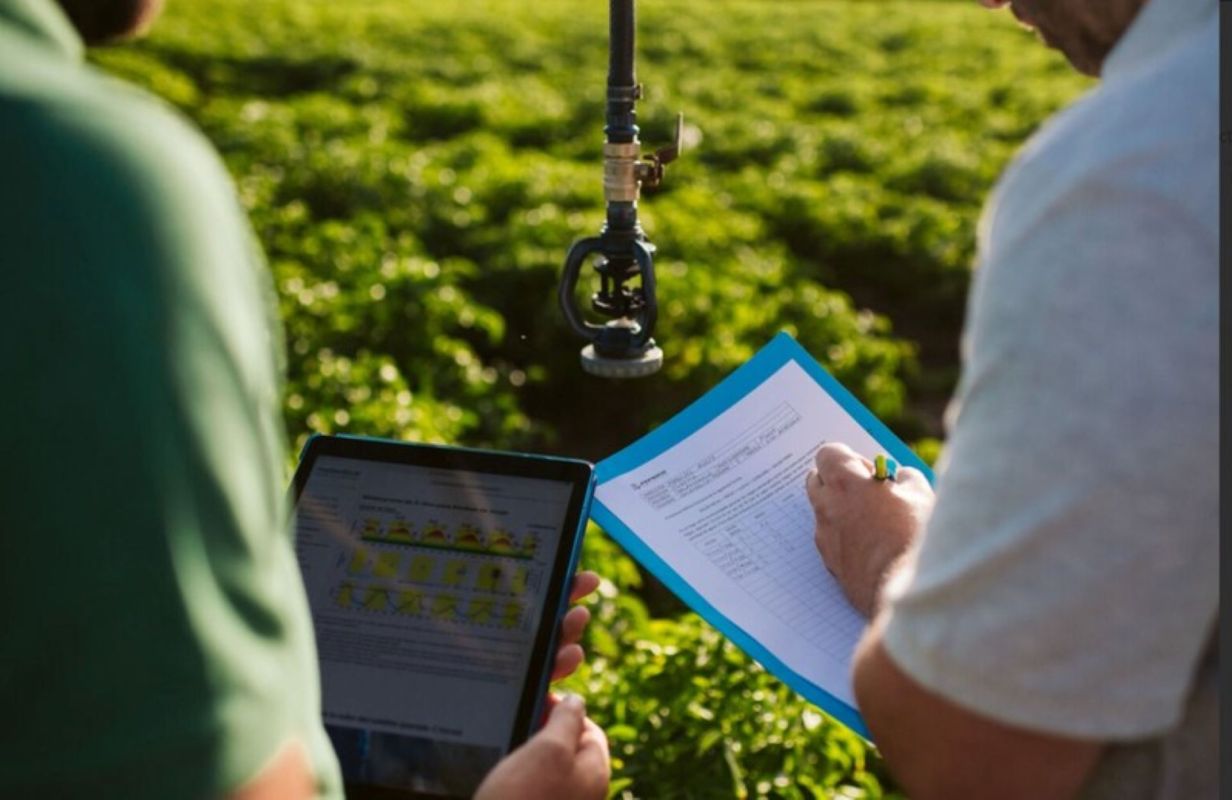 "We wanted to be playing the long game."