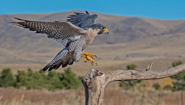 "We inspire learning."