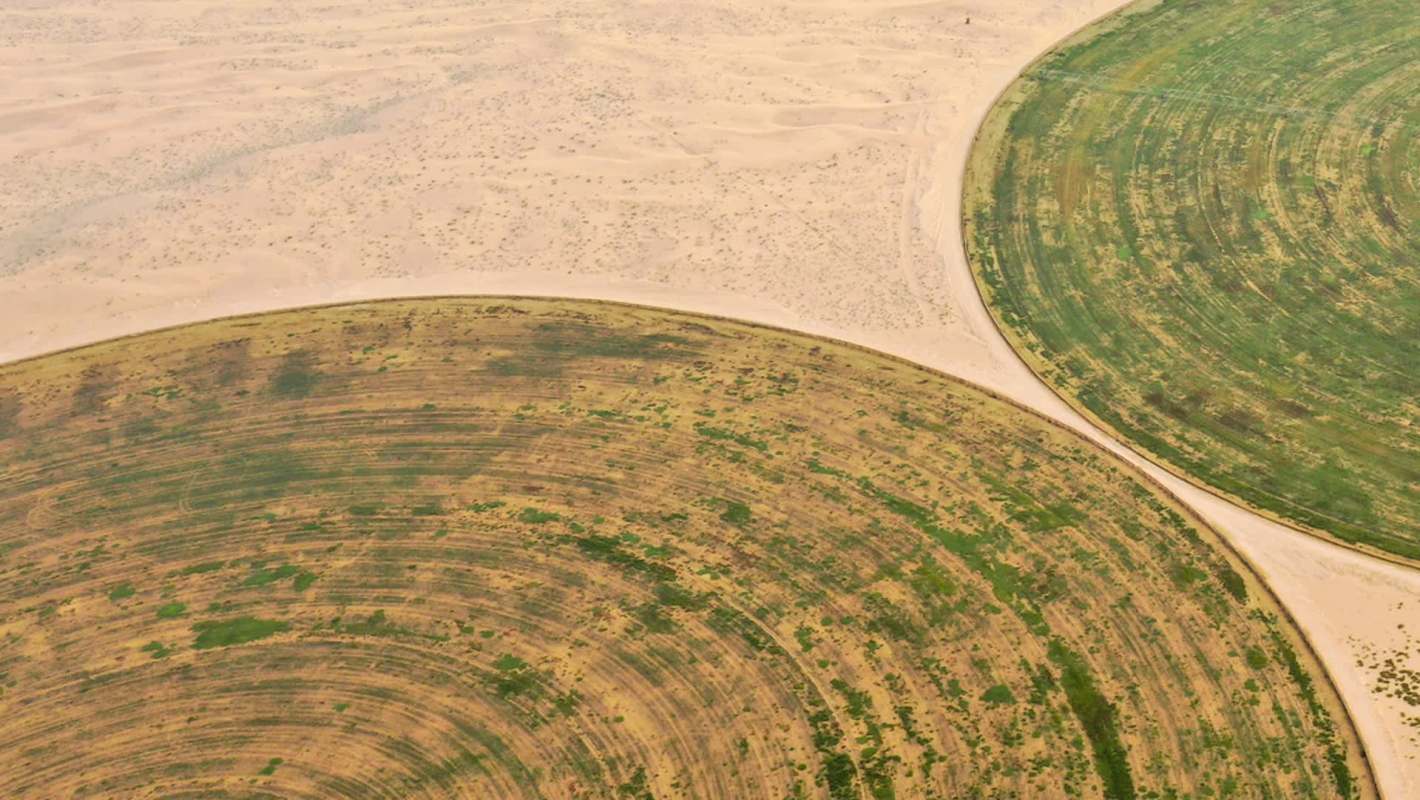 "Samples that are two years old … seem as good as when we first made them."