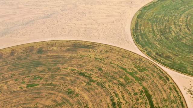 "Samples that are two years old … seem as good as when we first made them."