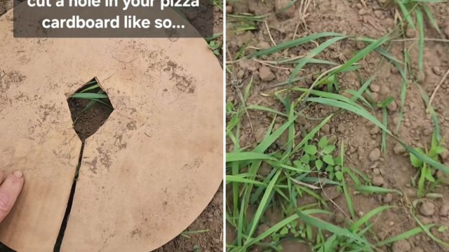 "Thanks for the tip!"