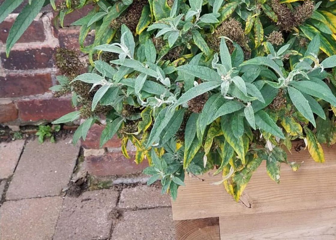 "Someone had to tell them."