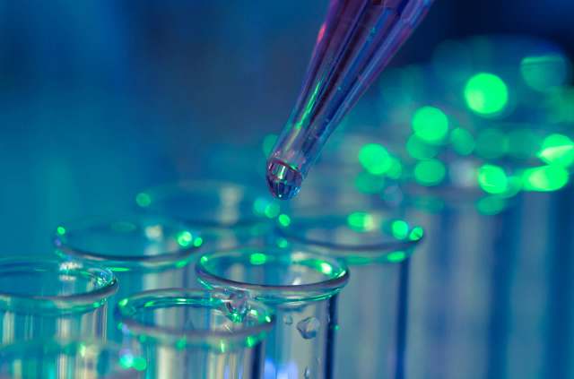 A new plant-based polymer developed by researchers at Lithuania's Kaunas University of Technology offers an alternative to petroleum-based plastics.