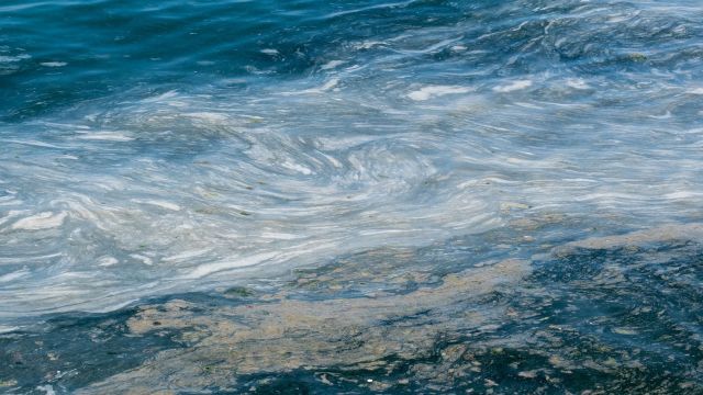 Researchers discovered an enzyme, PETase, that enables bacteria to break down and digest plastic, and it's already abundant in our oceans.