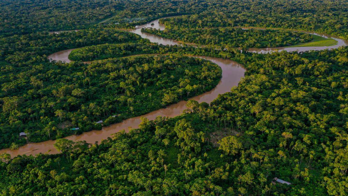 The study was the first to analyze a large set of independently published studies.