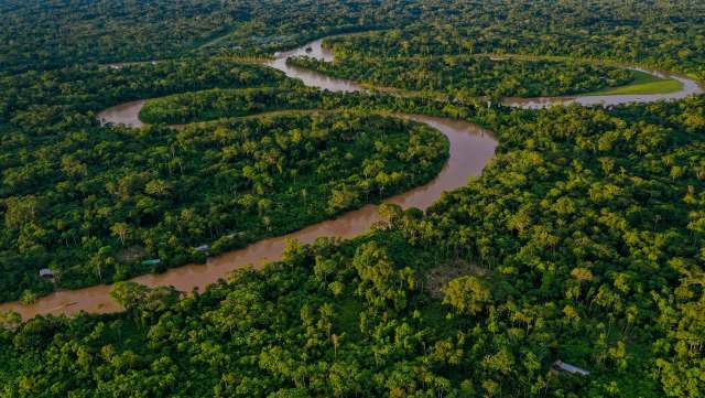 The study was the first to analyze a large set of independently published studies.