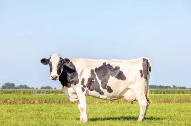 "It is a reminder of the dangers."