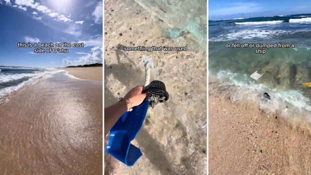 "We need to stop producing, stop buying, and stop using single-use plastics."