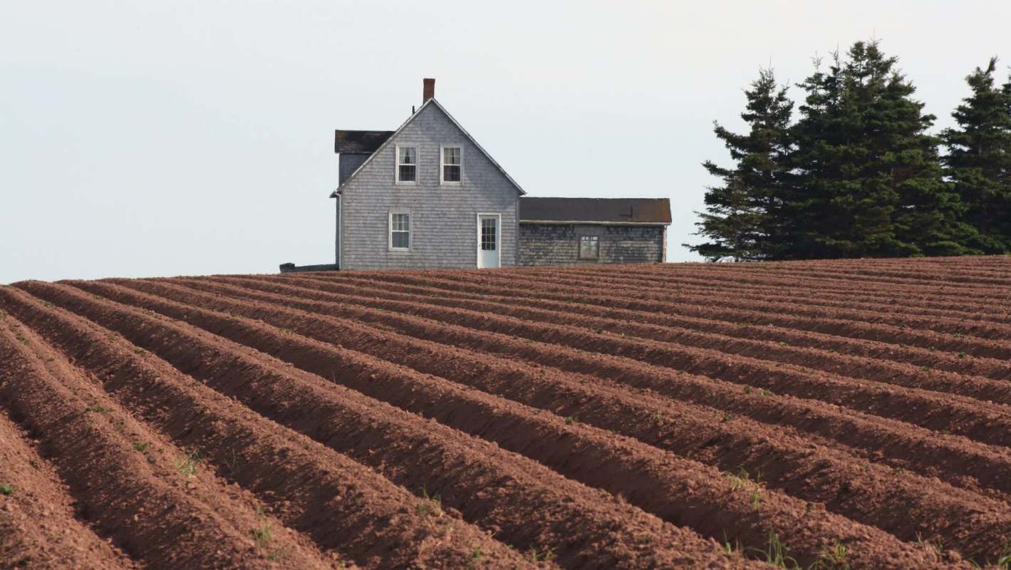 "It's going to be quite a loss to the farm."