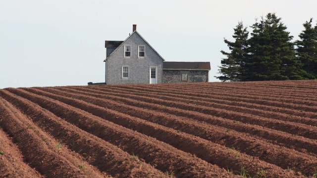 "It's going to be quite a loss to the farm."