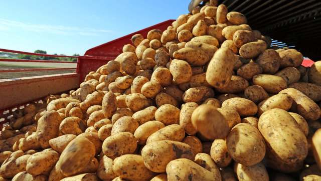 There is a potato shortage in South Australia, with prices at supermarkets going way up.
