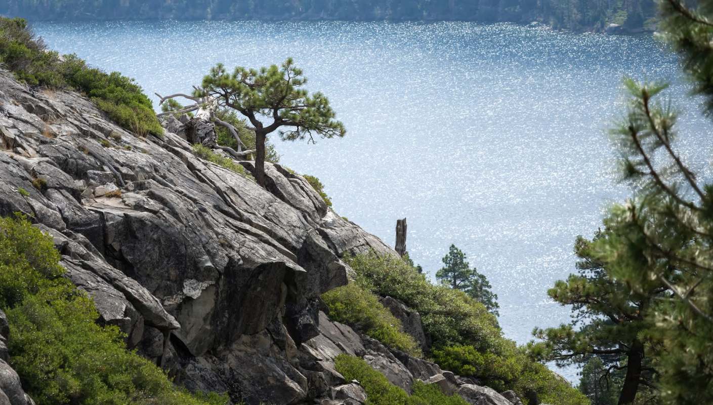 "Ultimately I got arrested for it."