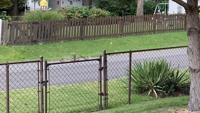 A frustrated homeowner took to Reddit's r/treelaw community to plead for help after learning that a city construction project could destroy a protected tree.