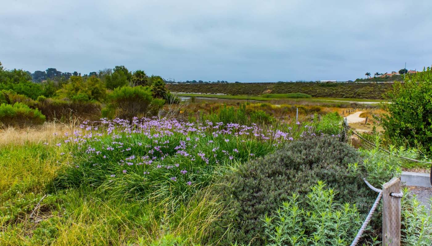 A California homeowner was hit with a massive fine after years of defying public access laws along a protected coastal zone.