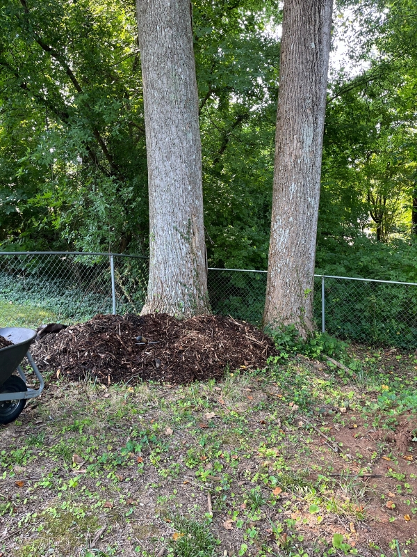 "Would this be harmful?"