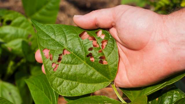 "I didn't know that."