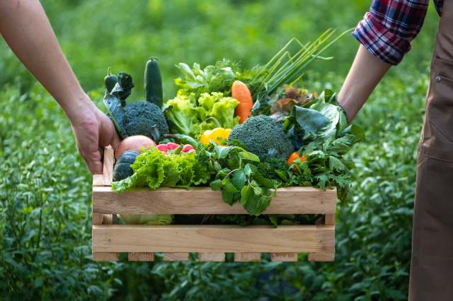 One couple's rain garden video went viral on TikTok, and it inspired plenty of users to try the clever gardening method.