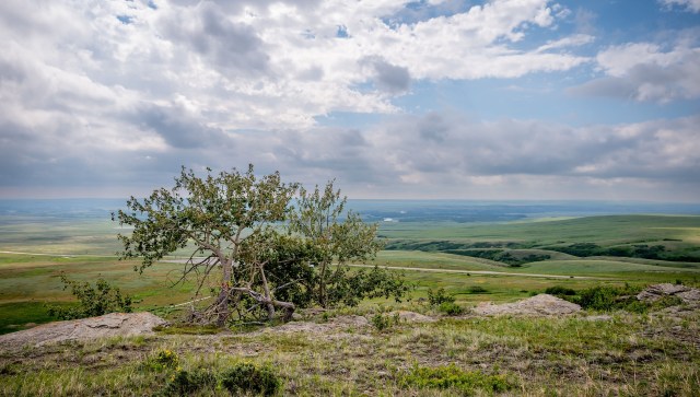 "The flora, the fauna, the ecosystem are considered sacred."