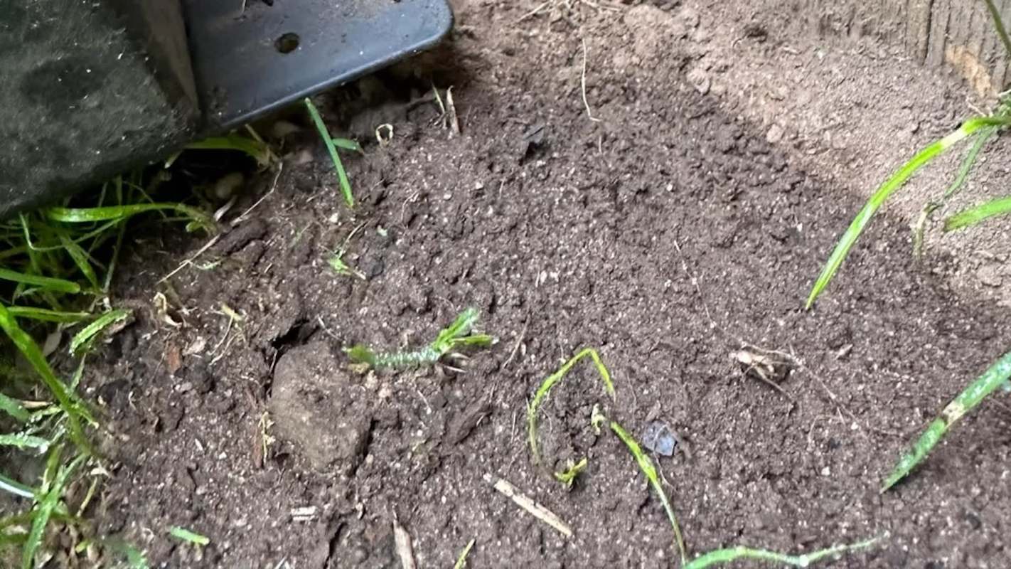 "They are horrible neighbors."