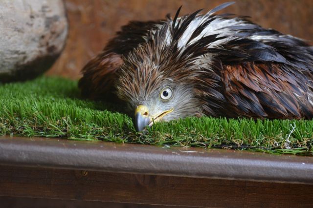 "It’s not every day."