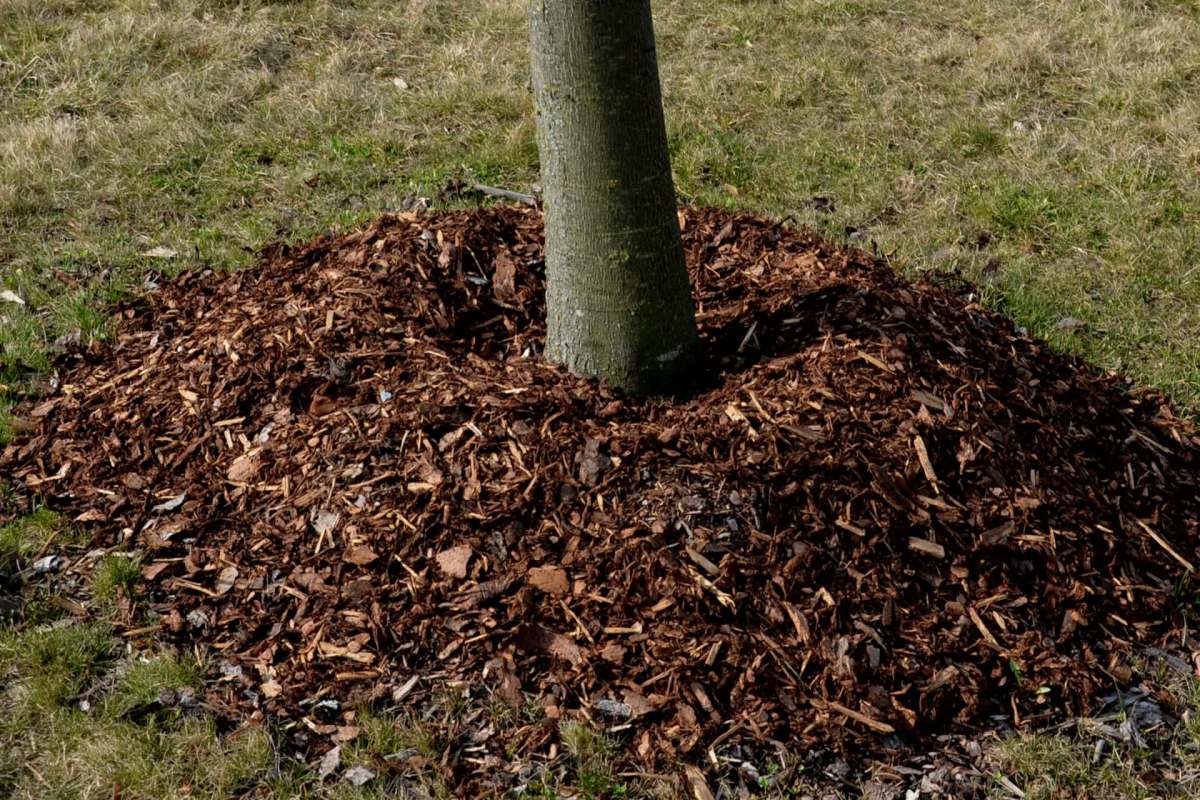 "Good job pulling back."