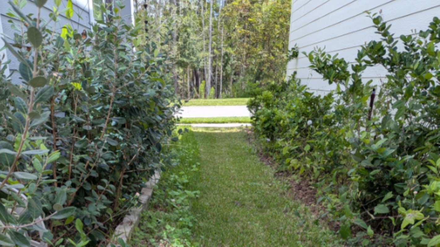 "Some people only learn when there is pain involved."