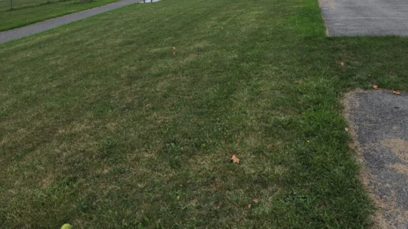 A small but striking moment shared on Reddit is sparking frustration over vape packaging tossed on the ground.