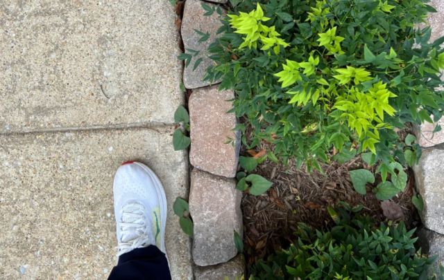 "Am I out of touch?"