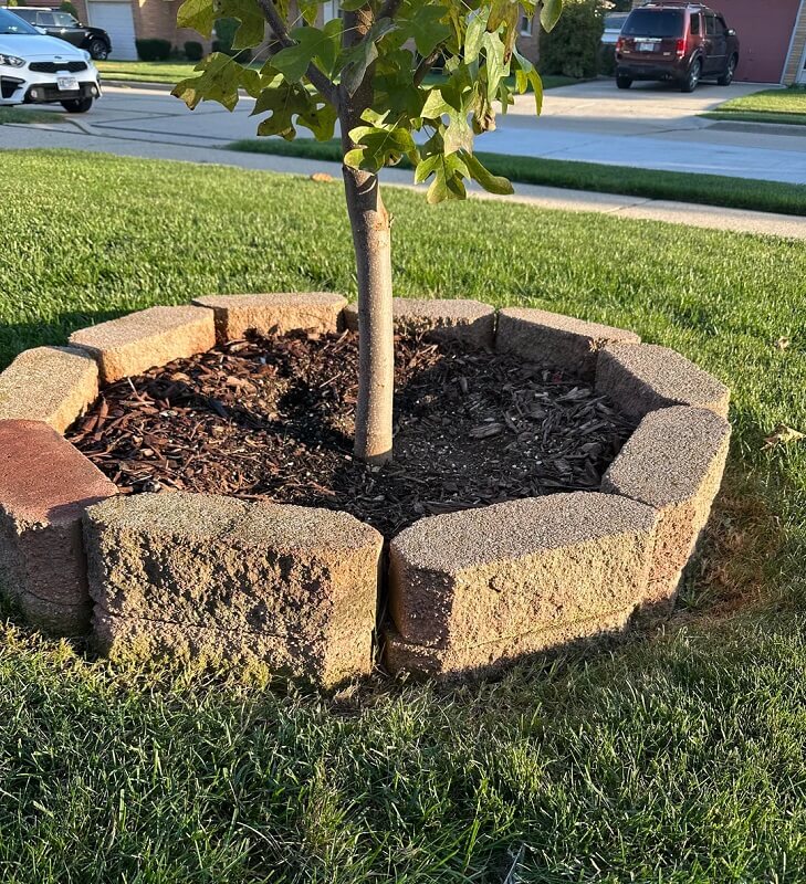 One homeowner turned to Reddit with a relatable yard dilemma: two years into growing a young tulip tree, they weren't sure if their mulch setup was helping or hurting.