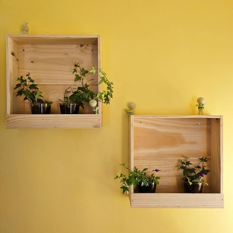 One clever Reddit user repurposed upcycled wooden wine boxes into shelves for his/her houseplants.