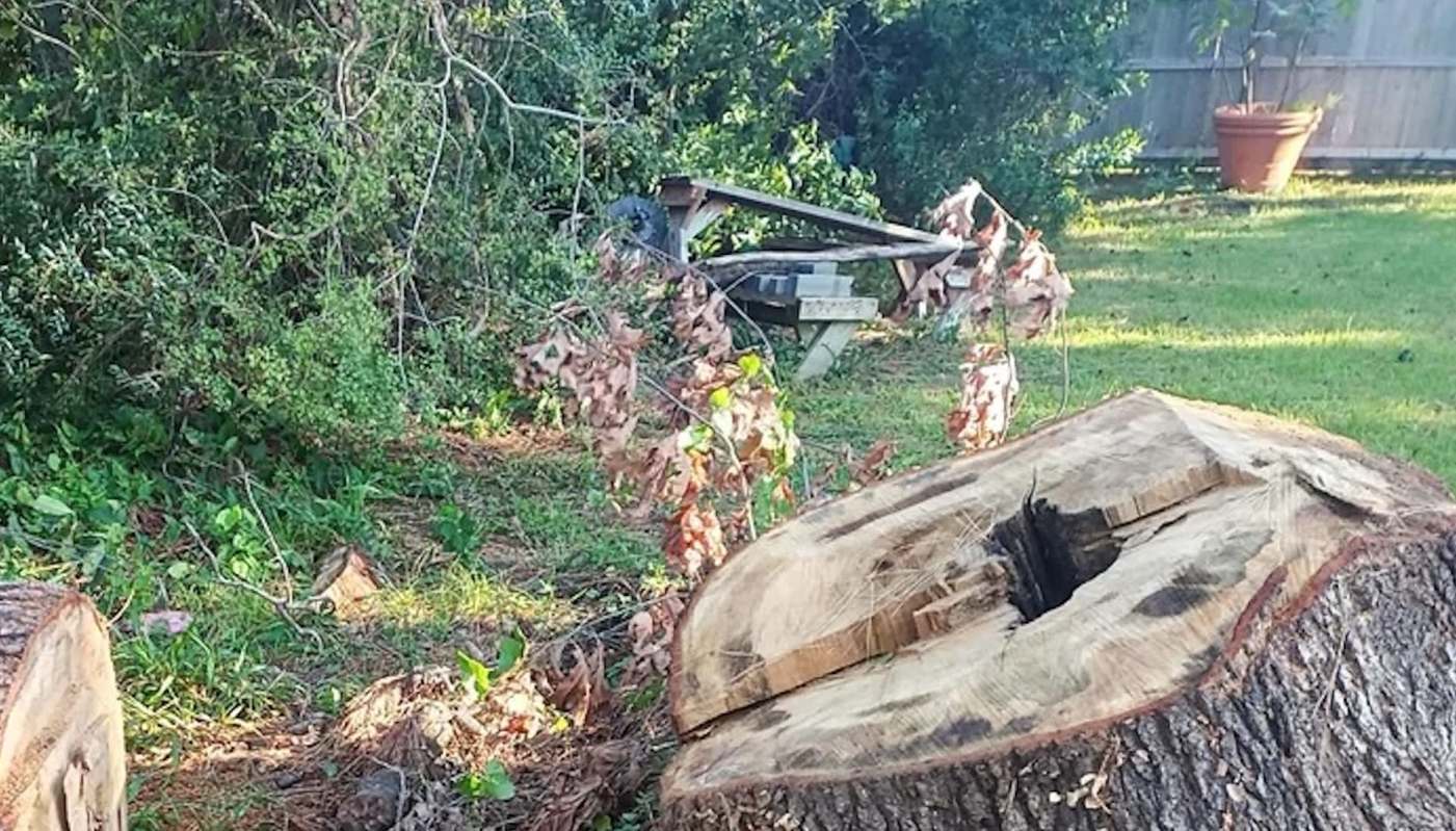 One Redditor shared a post showcasing the ways you can upgrade your yard naturally, with a repurposed stump as the centerpiece.