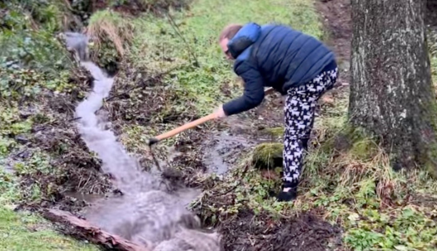 Not everyone can unearth a centuries-old drainage system. But there are many ways to foster a thriving natural ecosystem at home.