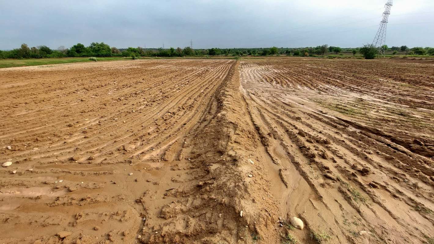 Recent floods have swamped Pakistan's Punjab province, a region responsible for most of the country's rice production.