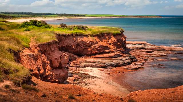 A multiyear project to monitor Prince Edward Island's wildlife has yielded a surprising, yet very welcome, development: the return of river otters.