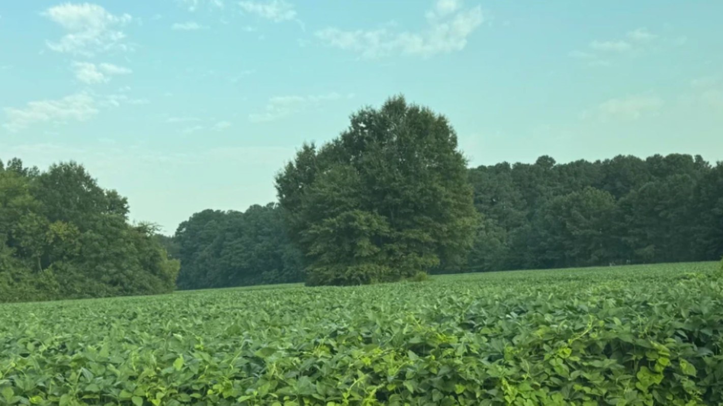 "It can spread super fast."