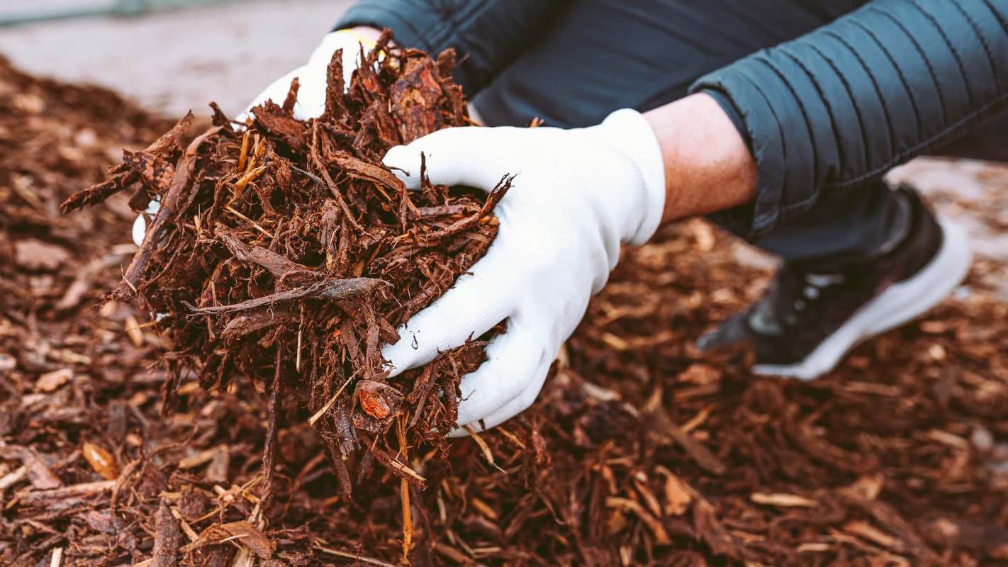 When one homeowner took to Reddit to ask for advice about a landscaping idea, they probably didn't expect to spark a strong reaction.