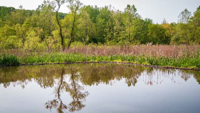 "We’ve done a good job in recent years."