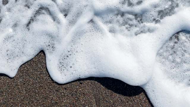 "Monitoring these coastal environments is critical."