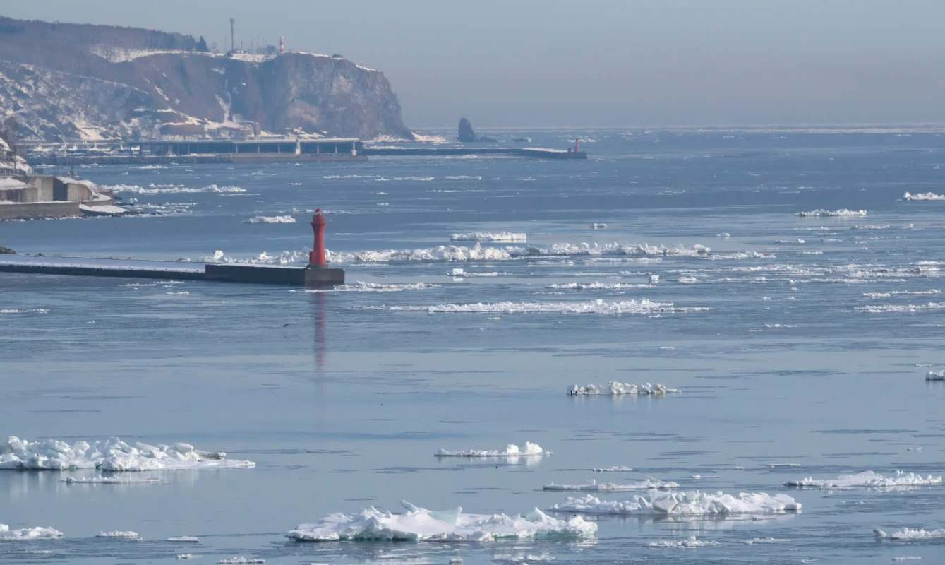 "Cannot be dismissed."