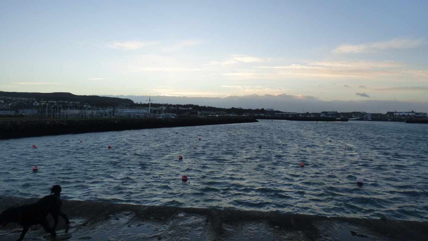 "It is a measurable and increasingly costly exposure."