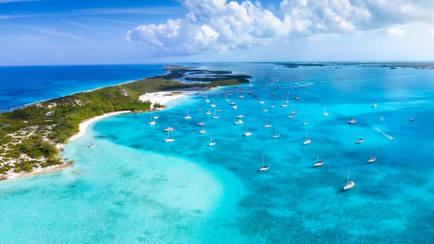 In many instances, when wild animals attack, it isn’t their fault.