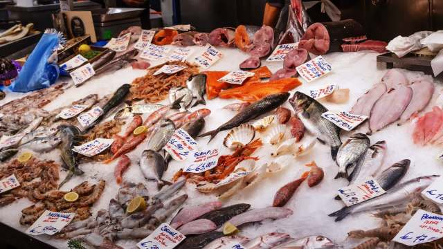 "It’s a lose-lose scenario."