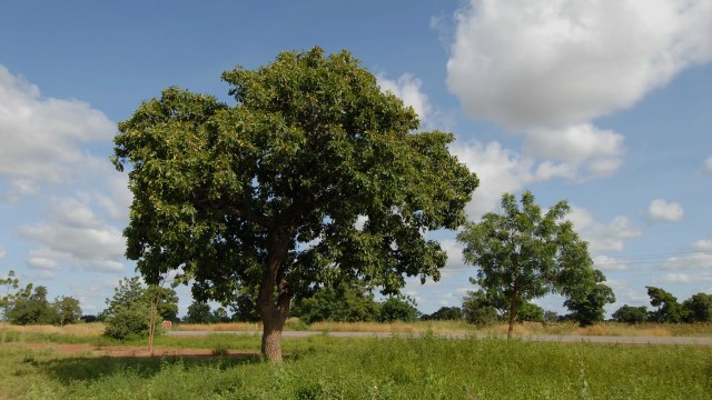 Officials are taking action.