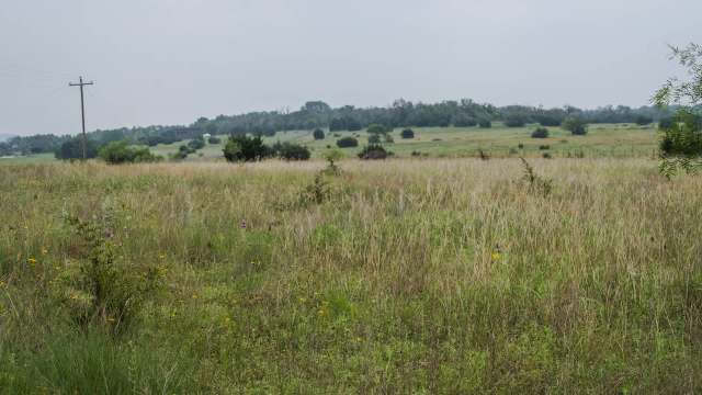 Even as smoking rates continue to fall, a new World Health Organization report warns that vaping rates are continuing to rise, concerning advocates globally.