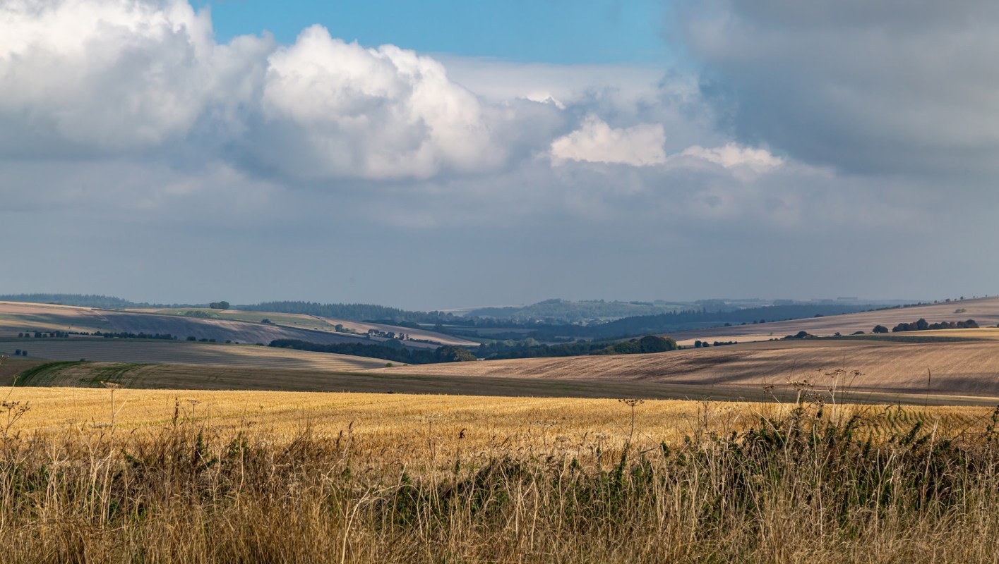 "Can burrow two meters deep."